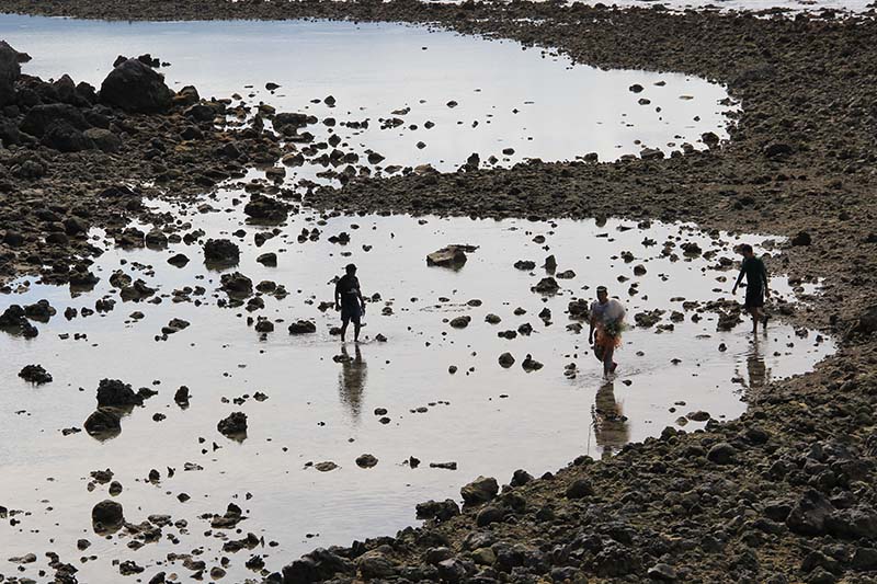 Nelayan mencari ikan diantara hamparan batu karang yang mati di pantai Ujung Batee Kapai Amat Ramanyang (Foto M Iqbal/SeputarAceh.com)