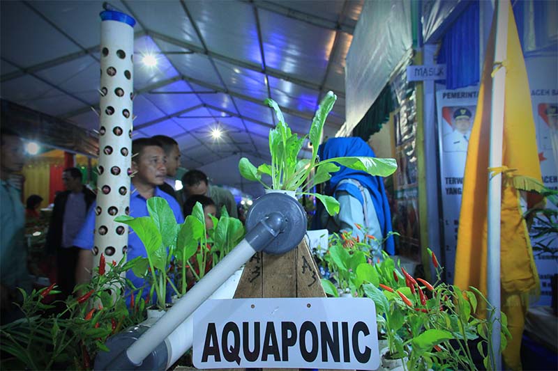 Pengunjung melihat tanaman aquaponic di stand Peda KTNA 2016 di pelataran Stadion Harapan Bangsa Lhong Raya, Banda Aceh (Foto M Iqbal/SeputarAceh.com)