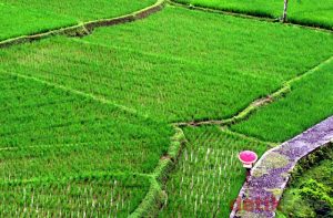 Tasikmalaya Ingin Jadi Kota Agamis