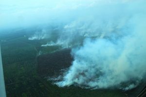 Warga Aceh Besar Diimbau Tidak Bakar Hutan di Musim Kemarau