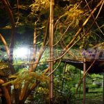 midnight in banda aceh v