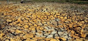 Musim kemarau (Republika/Agung Supriyanto)