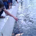 Memancing ikan di kolam Masjid Raya