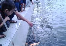 Memancing ikan di kolam Masjid Raya