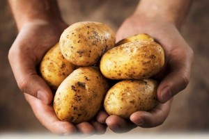 Hilangkan Lingkaran Hitam pada Mata dengan Kentang