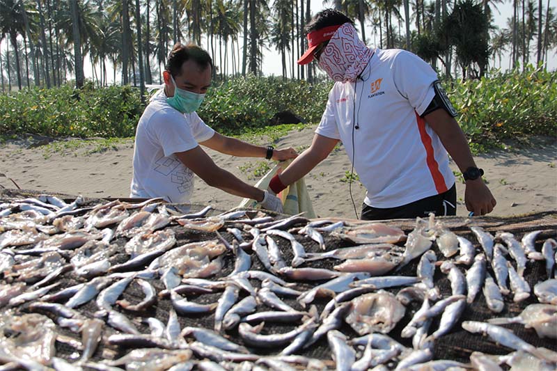 Seorang relawan aksi Hari Peduli Sampah Nasional 2016 melihat ikan yang dijemur di pantai Alue Naga, Banda Aceh (Foto M Iqbal/SeputarAceh.com)